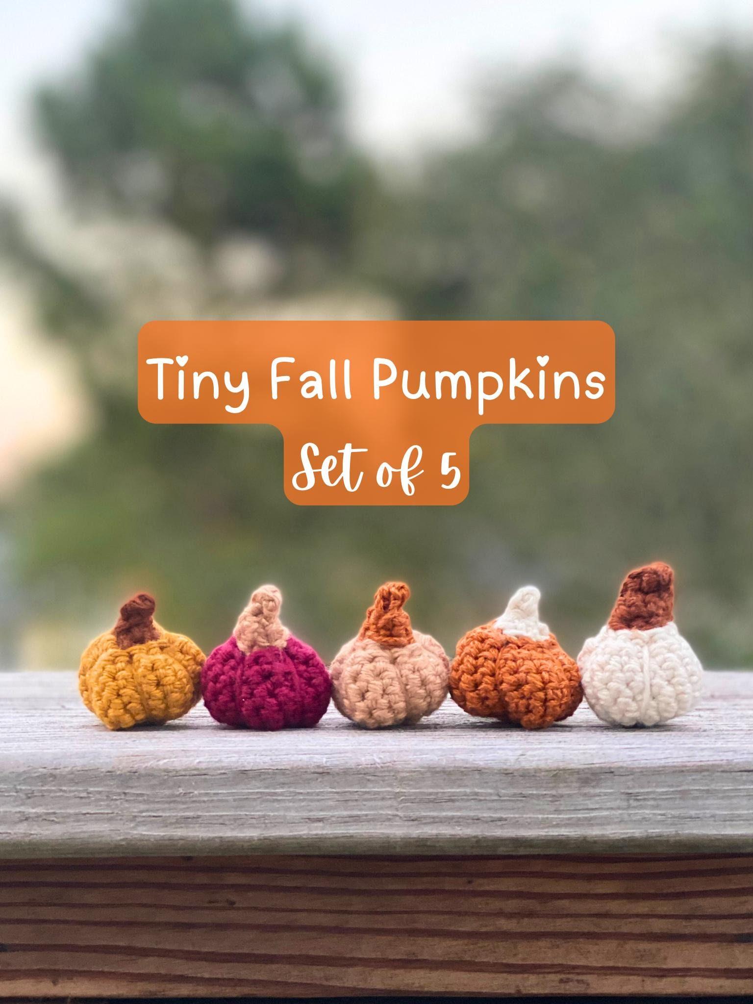 Crochet Tiny Fall Pumpkins Set of 5, Mini Pumpkin Decorations, Miniature Amigurumi Decor, Small Yarn Pumpkins, Handmade Gift for Fall Lovers