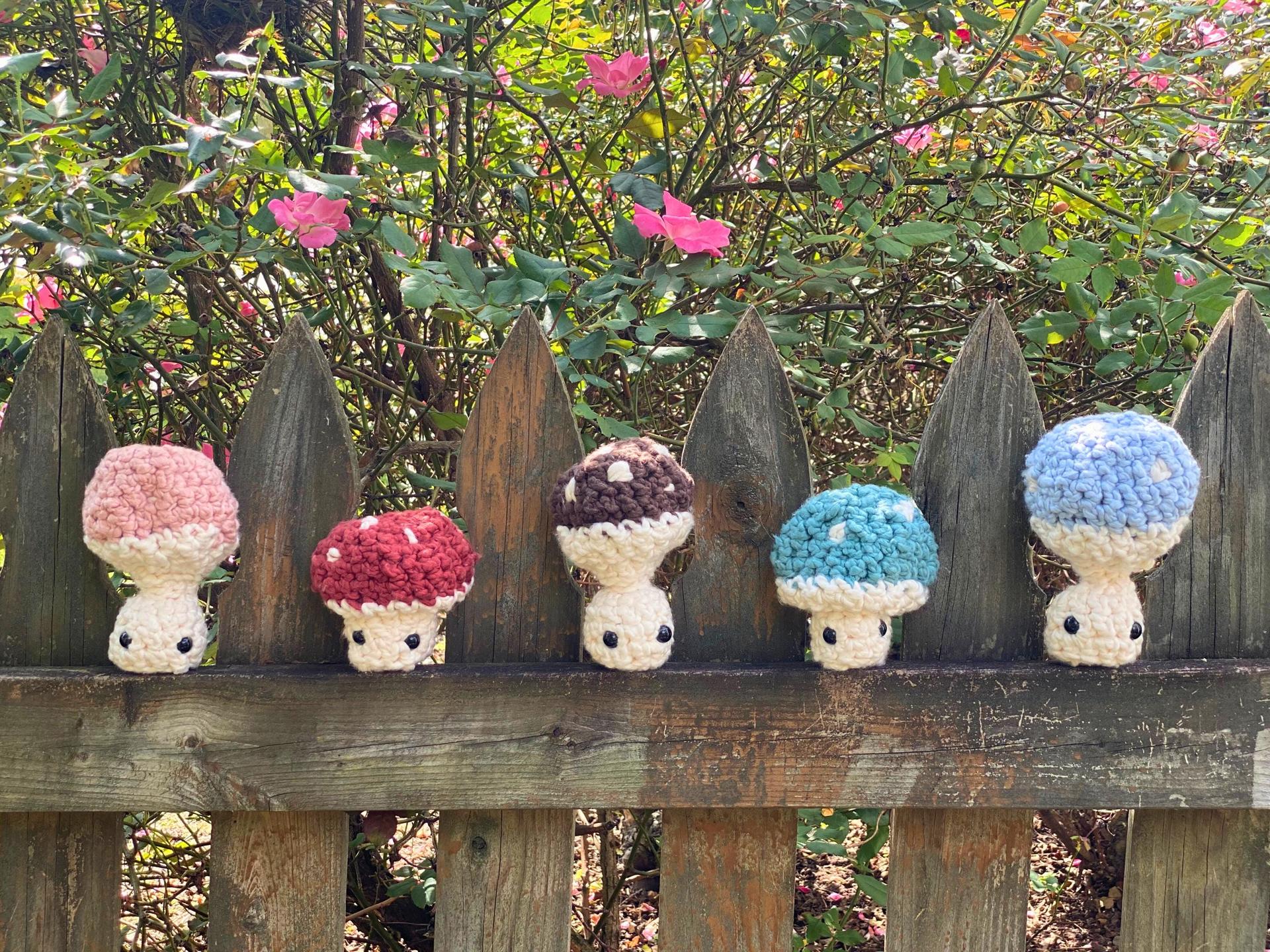 Crochet Mushroom Plushie: Handmade Cotton Mushie Pop with Embroidered Cap thumbnail 7