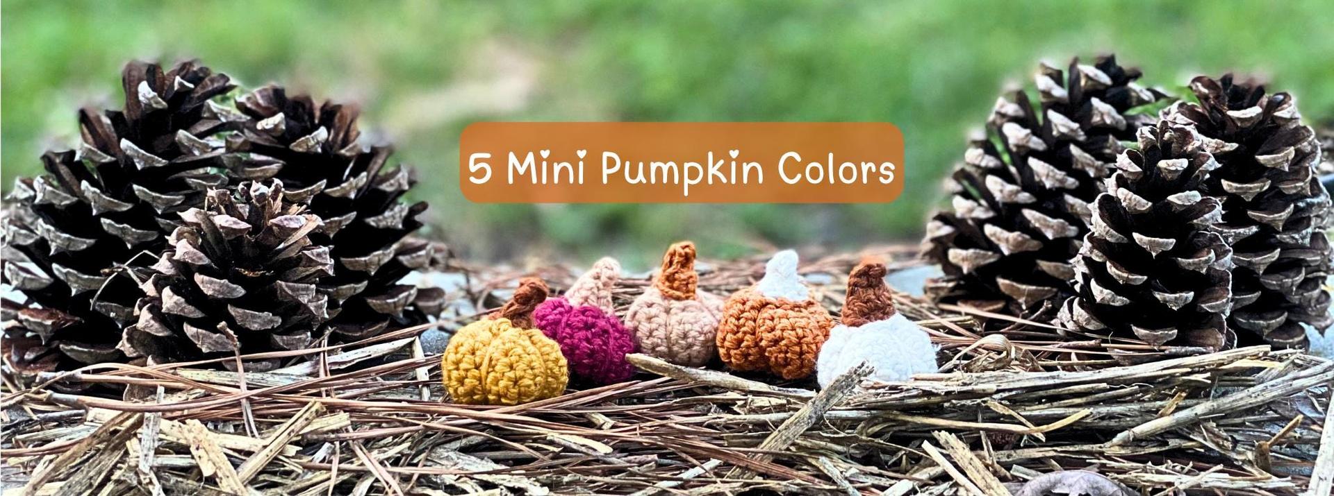 Crochet Tiny Fall Pumpkins Set of 5, Mini Pumpkin Decorations, Miniature Amigurumi Decor, Small Yarn Pumpkins, Handmade Gift for Fall Lovers thumbnail 3