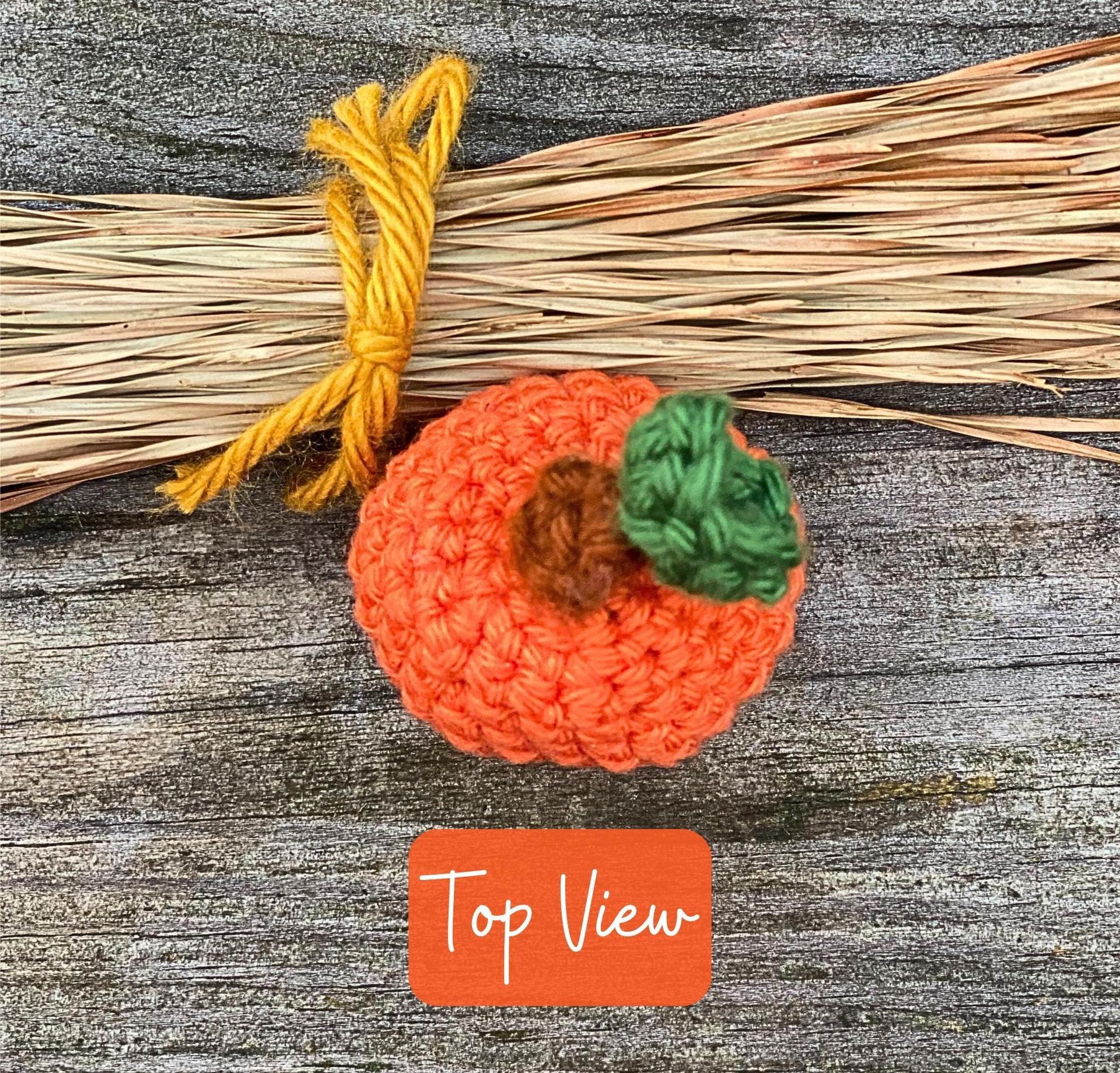 Crochet Mini Pumpkin Pop, Tiny Fall Amigurumi Plushie, Micro Whimsical Pumpkin thumbnail 4