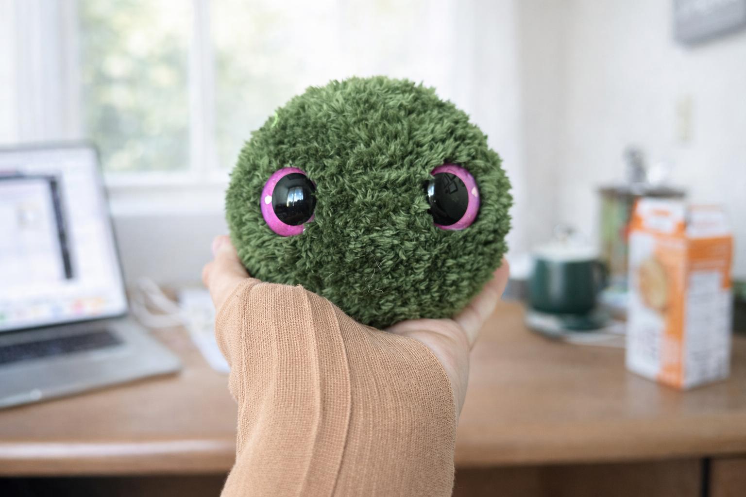 My Yarn Oasis photo